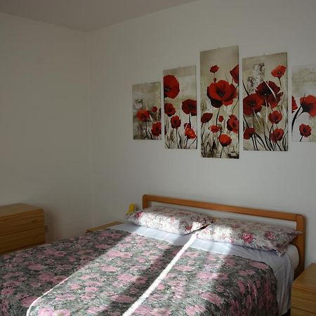 Apt. Bella Vista Nel Cuore Della Valle Di Cembra. 세곤차노 외부 사진