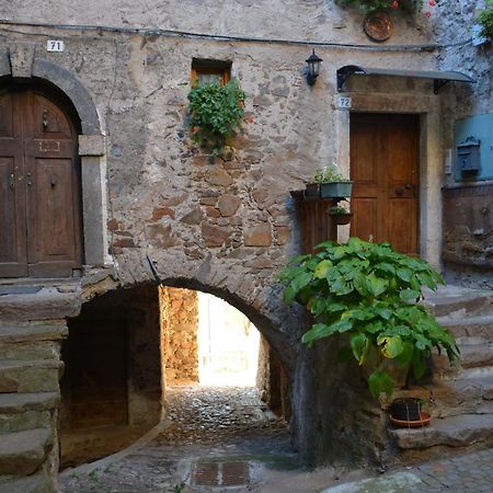 Apt. Bella Vista Nel Cuore Della Valle Di Cembra. 세곤차노 외부 사진