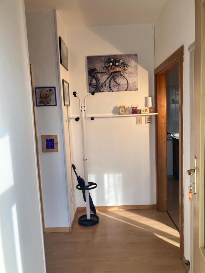 Apt. Bella Vista Nel Cuore Della Valle Di Cembra. 세곤차노 외부 사진