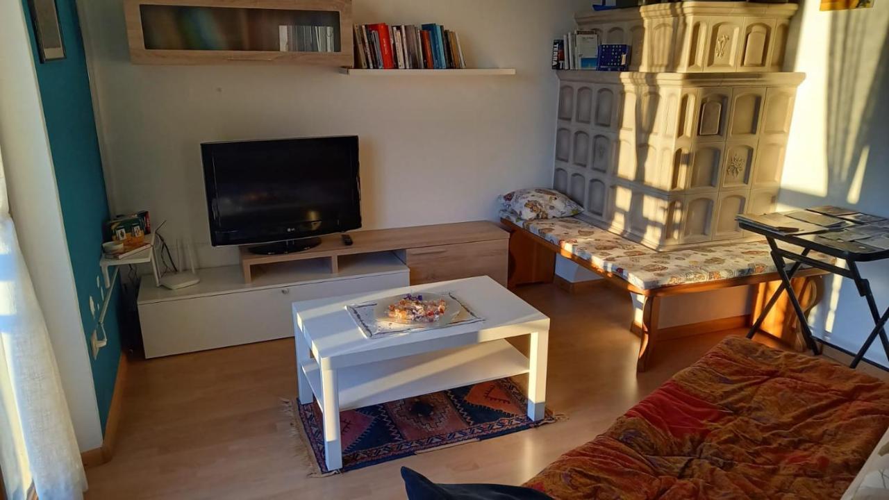 Apt. Bella Vista Nel Cuore Della Valle Di Cembra. 세곤차노 외부 사진
