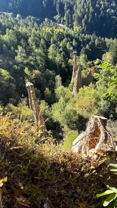 Apt. Bella Vista Nel Cuore Della Valle Di Cembra. 세곤차노 외부 사진