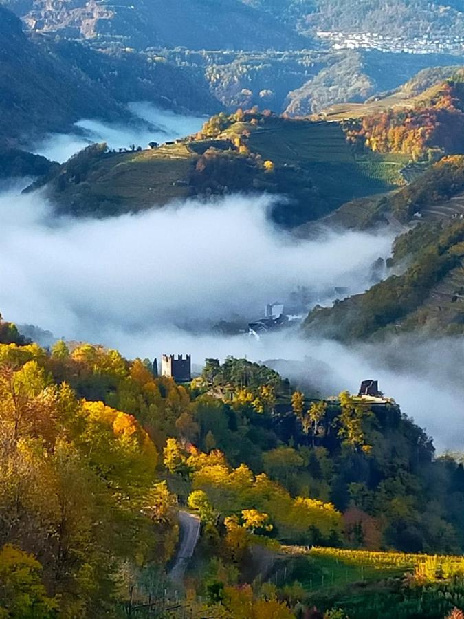 Apt. Bella Vista Nel Cuore Della Valle Di Cembra. 세곤차노 외부 사진