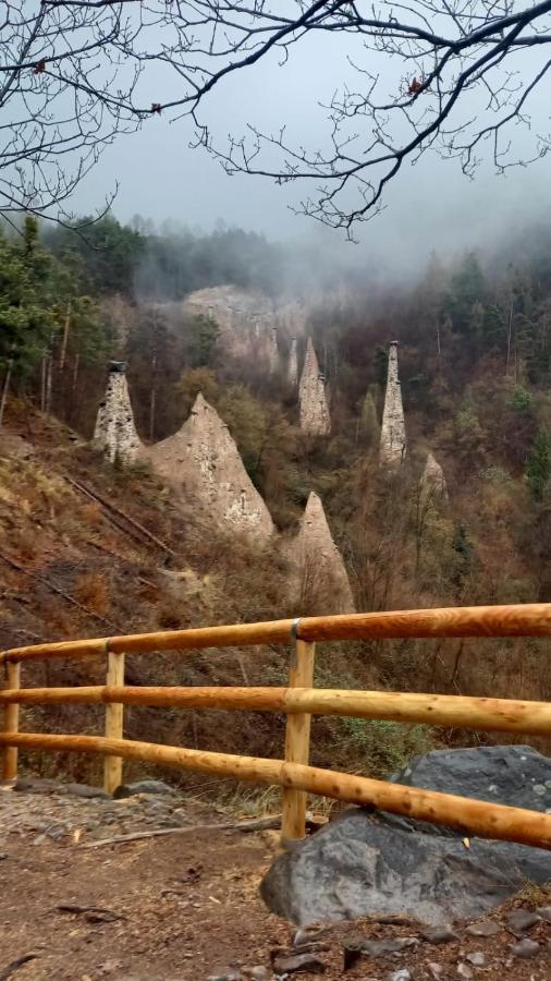 Apt. Bella Vista Nel Cuore Della Valle Di Cembra. 세곤차노 외부 사진
