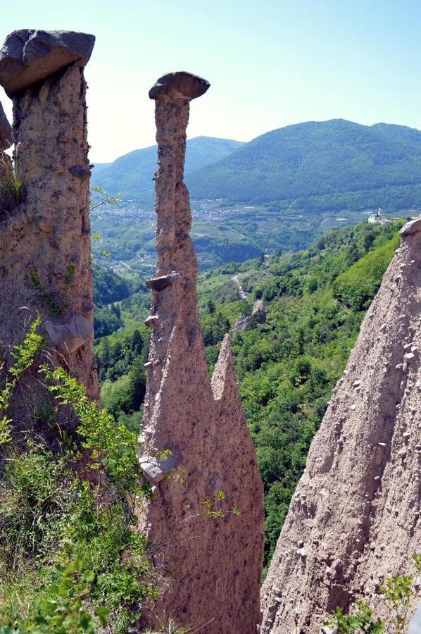 Apt. Bella Vista Nel Cuore Della Valle Di Cembra. 세곤차노 외부 사진