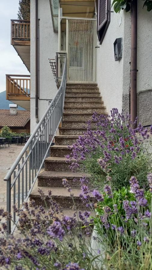 Apt. Bella Vista Nel Cuore Della Valle Di Cembra. 세곤차노 외부 사진